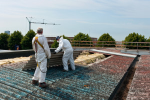 Asbestos removal