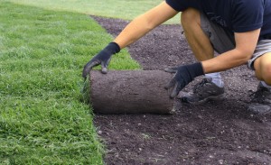 laying sod